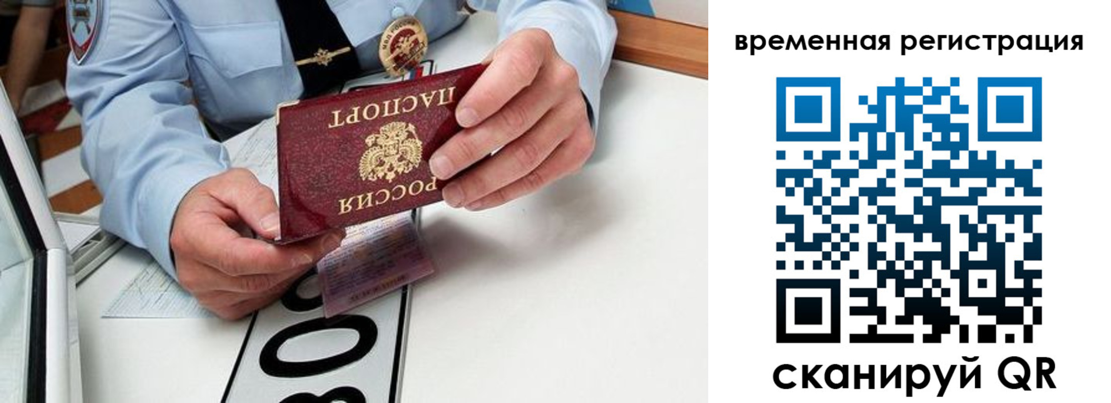 прописка гарантия в Шатуре